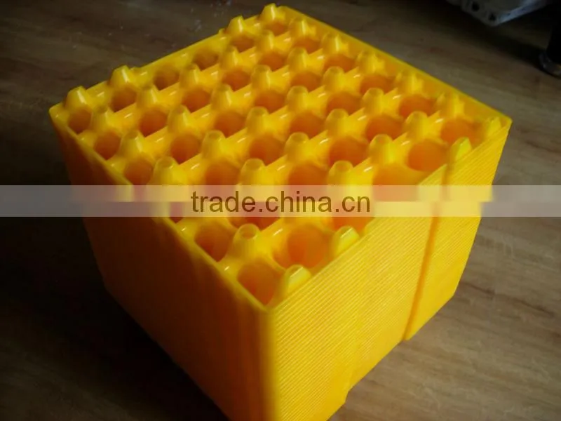 China High quality plastic egg tray for 30 chicken eggs