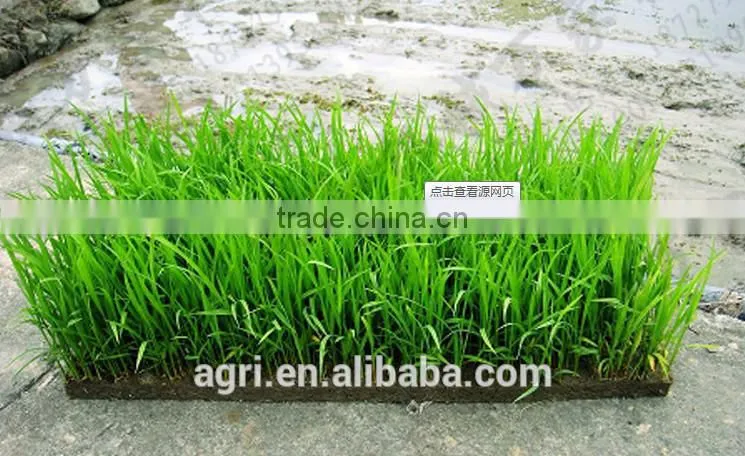 SBL-280 High quality Chinese seeder planter transplanter