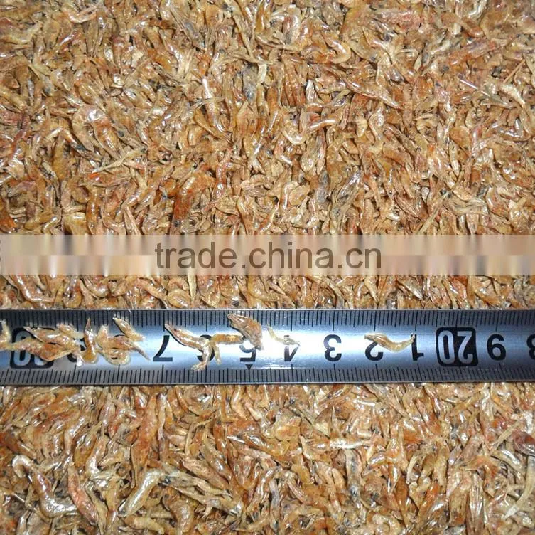 Shrimp exporters top quality sun dried shrimp