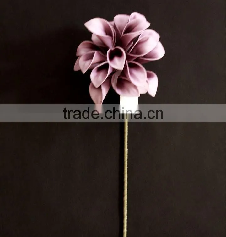 wholesale alibaba large indoor tropical plants