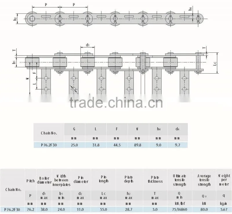P76.2F30 conveyor chain for tobacco factory / tobacco machine chain / tobacco conveyor chain