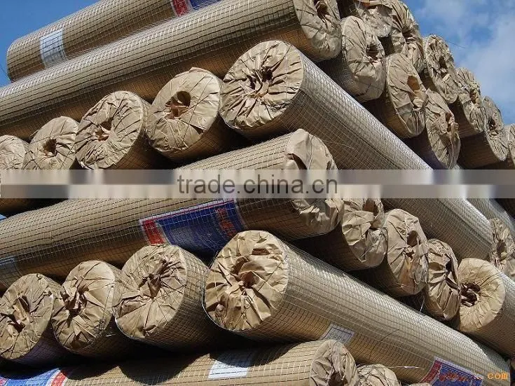 Galvanized Welded Wire Mesh from China factory