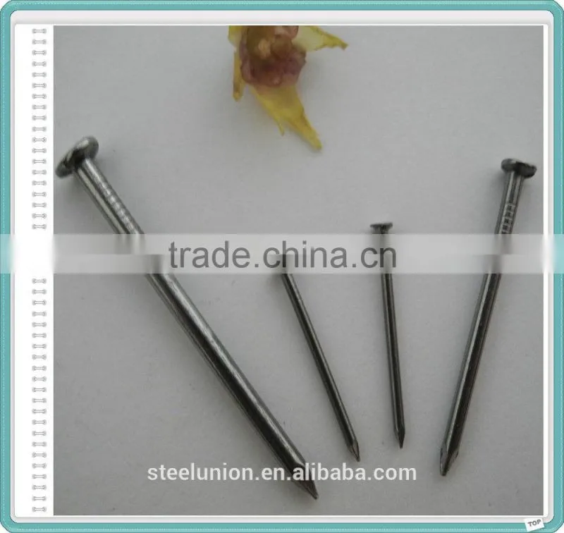 2.5" Polished Nail/Common Nail/Wire Nail