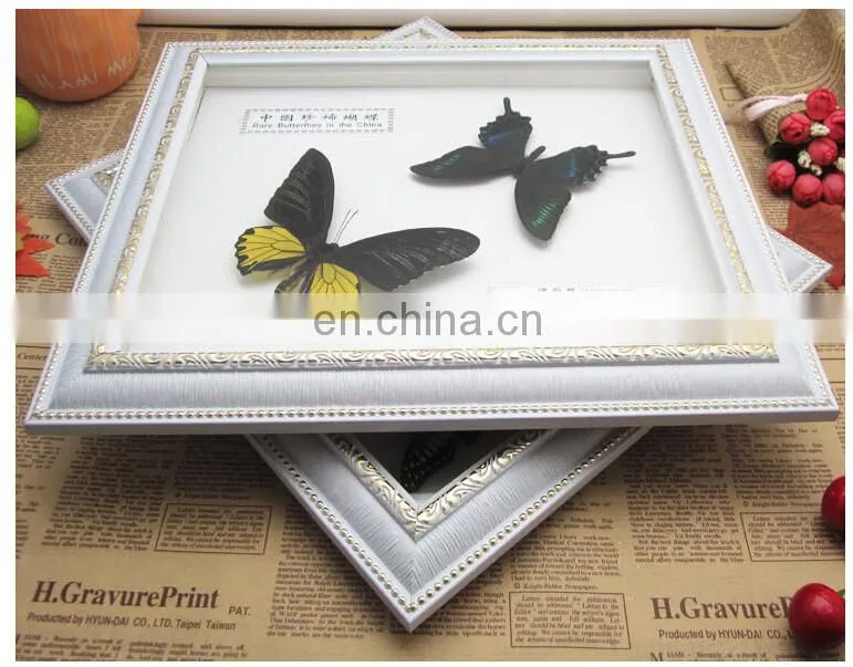 Dry Framed Butterfly frame wholesale LOW MOQ Good quality