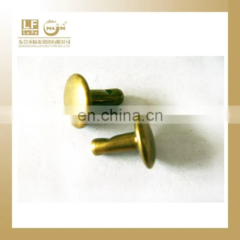 dull silver rivet