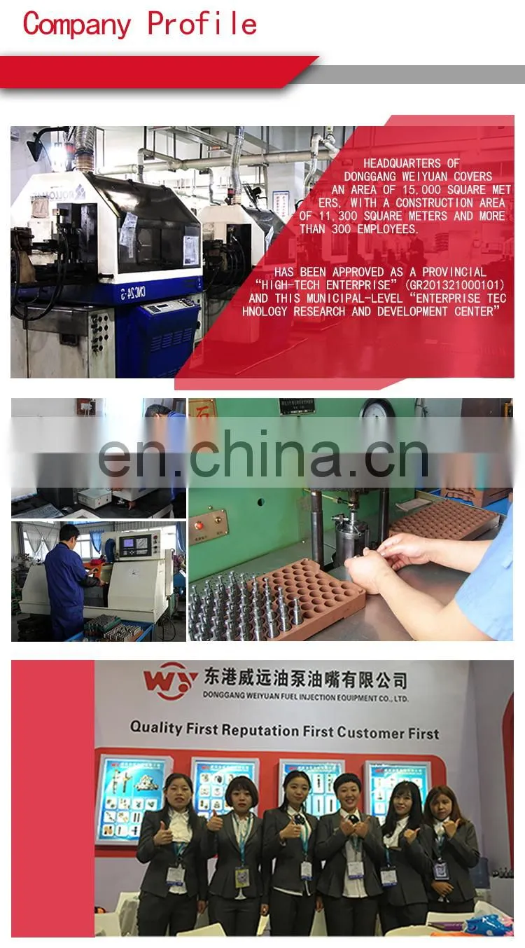 hot-part diesel engine nozzle DN0PD21/DNOPD21 made in China