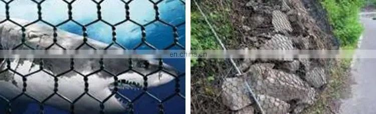 Factory Pet Fish Farming Cage Netting Agriculture Fish Farm Nets Hexagonal Wire Mesh