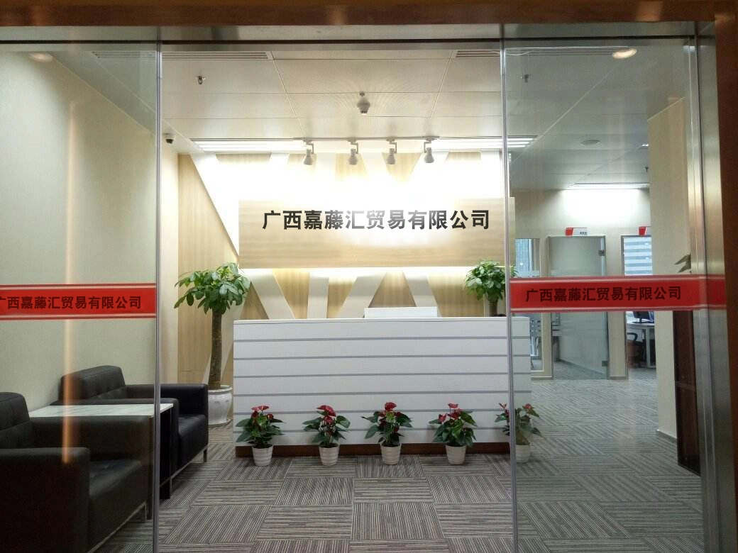 Guangxi Jiatenghui Trading Co., Ltd company overview - view 1