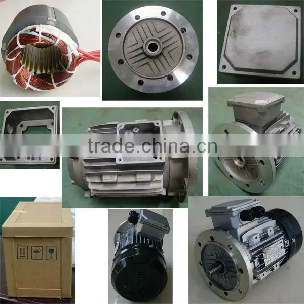 MS series three phase aluminum housing motor
