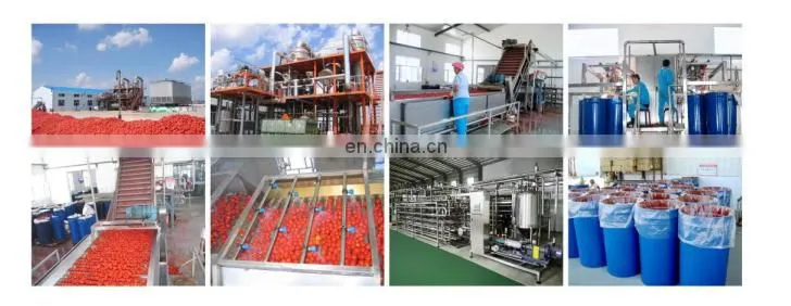 China factory pineapple juice production plant apple juice making machines