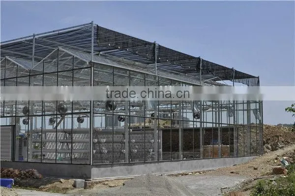 Low Commercial Greenhouse Cost