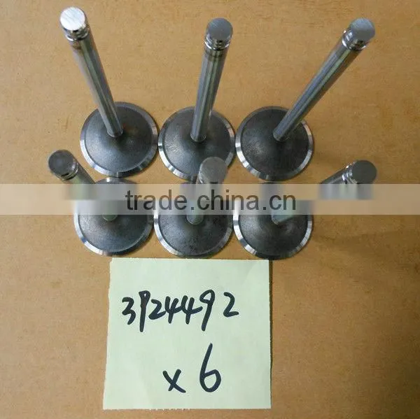 Cummins Diesel Engine Intake Valve 3924492 for 6CT