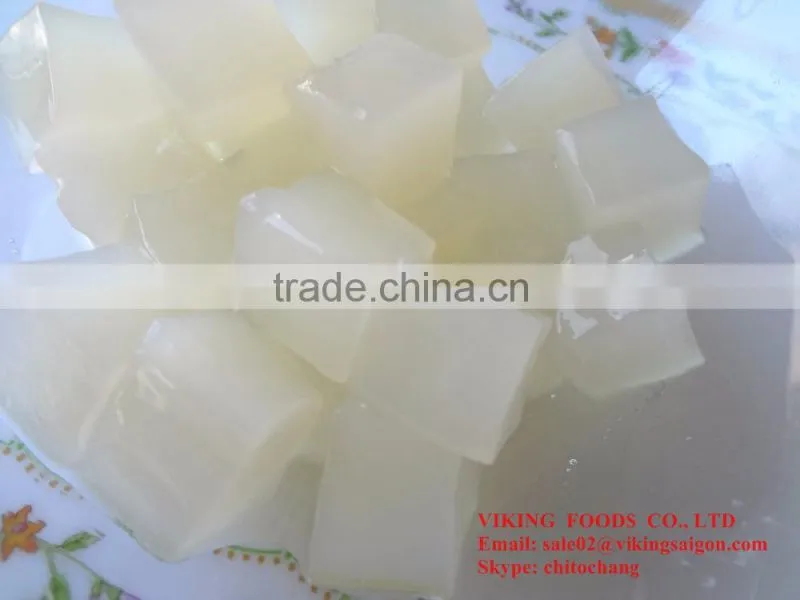 DELICIOUS NATA DE COCO IN SYRUP