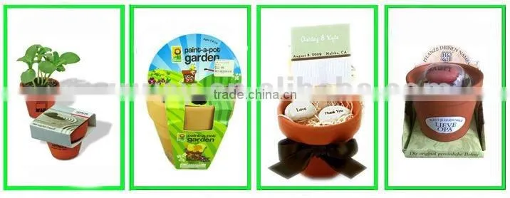 Mini garden,Little garden.Mini plant