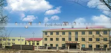 kinds of stem Stainless gate vale DN 40 JINKETONGLI