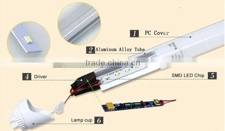 Shenzhen supplier new design 1200mm cheap price best quality t8 2014 tube8 japan xxx a