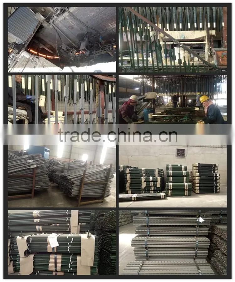 Metal Type and Fencing Type T Post for sale