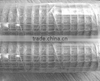 2x2 Pvc Coated Welded Wire Mesh Panel