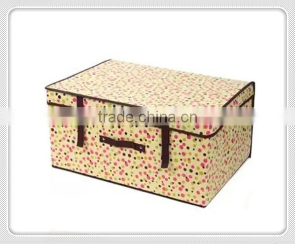 storage case
