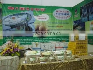 Vietfarm Co., Ltd company overview - view 3