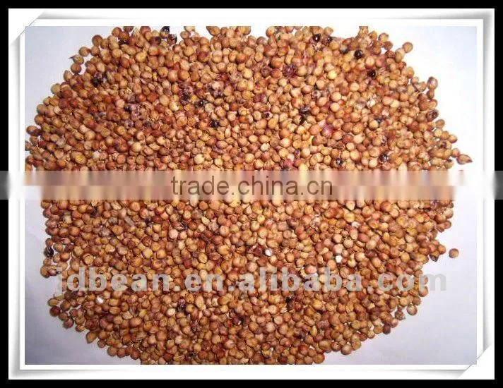 Chinese red sorghum