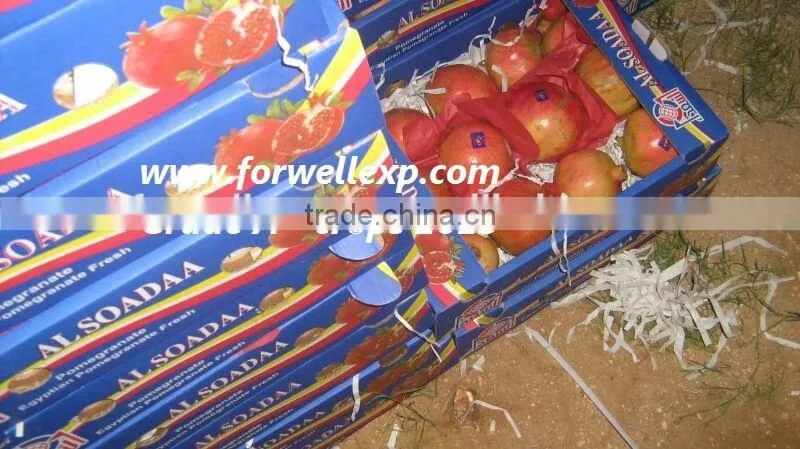 Fresh Pomegranate 2015