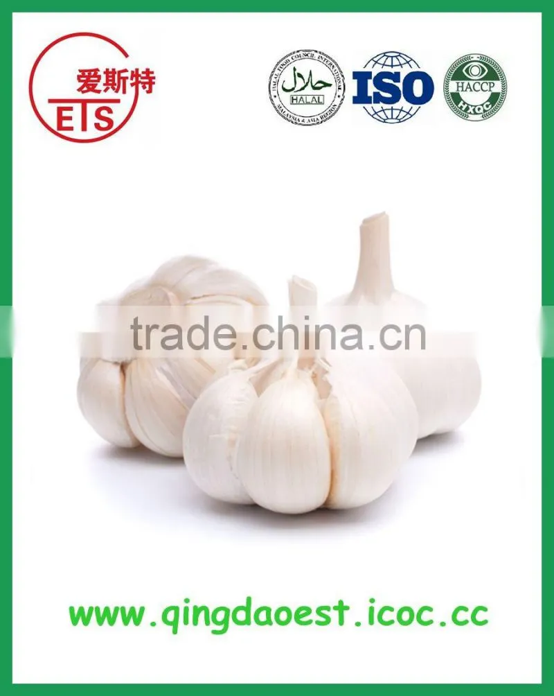 High quality blanched peanut kernel from china with good looking and taste