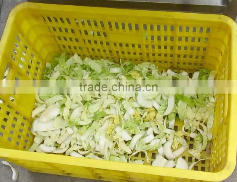 FT-1800 High Efficiency Fruit And Vegetable Vibration Dewatering Draining Machine