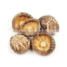 Detan Hot Dried Shiitake Mushrooms