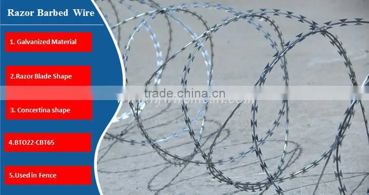 450mmm /500mm /700mm /1000mm hot galvanized coil concertina razor barbed wire(Guangzhou Factory)