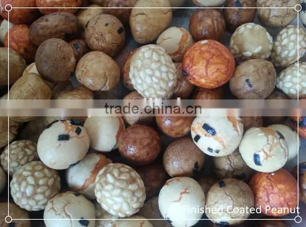 coated and flavored peanut equipments