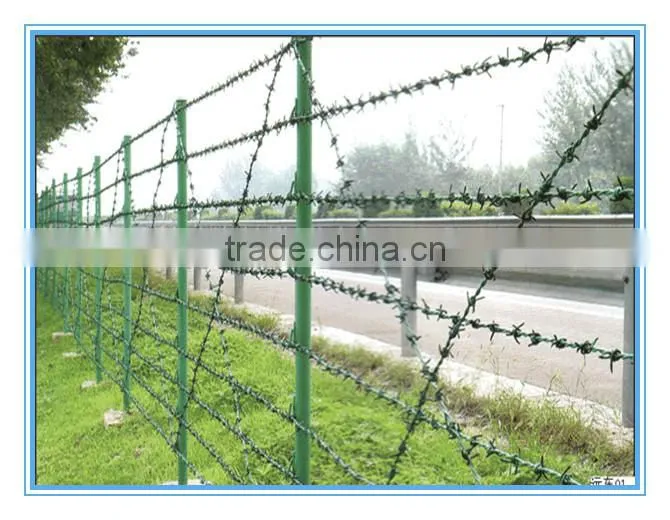 China high quality Green and red painted studded steel T post