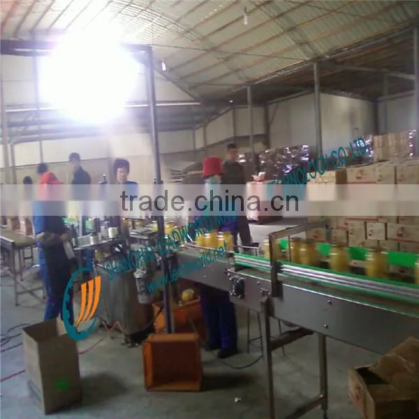canned fruit and vegetables making/processing production line