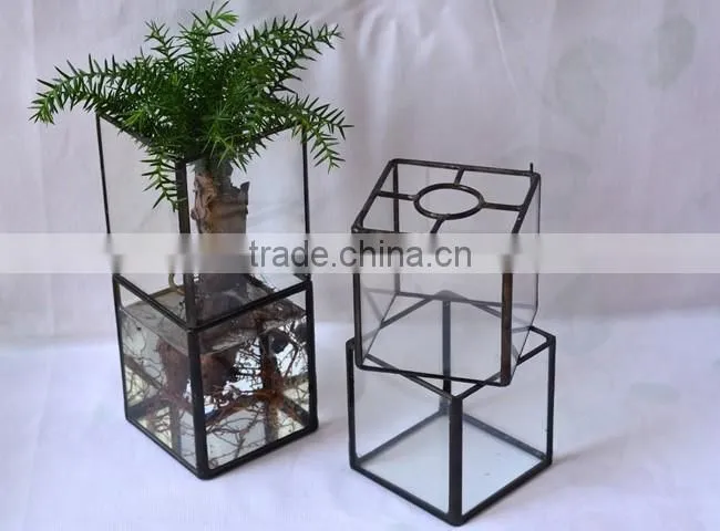 Latest design rectangular terrarium hydroponic glass containers