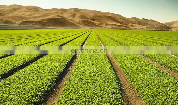 China plastic 4 holes automatic adjustable atomizing water sprinkler agriculture irrigation