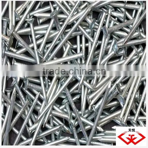 common nail (Manufacturer)