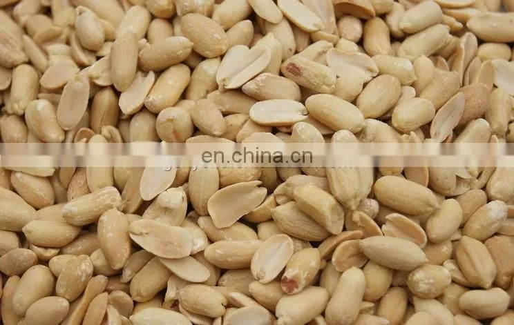 Widely used peanuts roaster/cashew sunflower seeds roasting machine/small nut roasting machine for sale