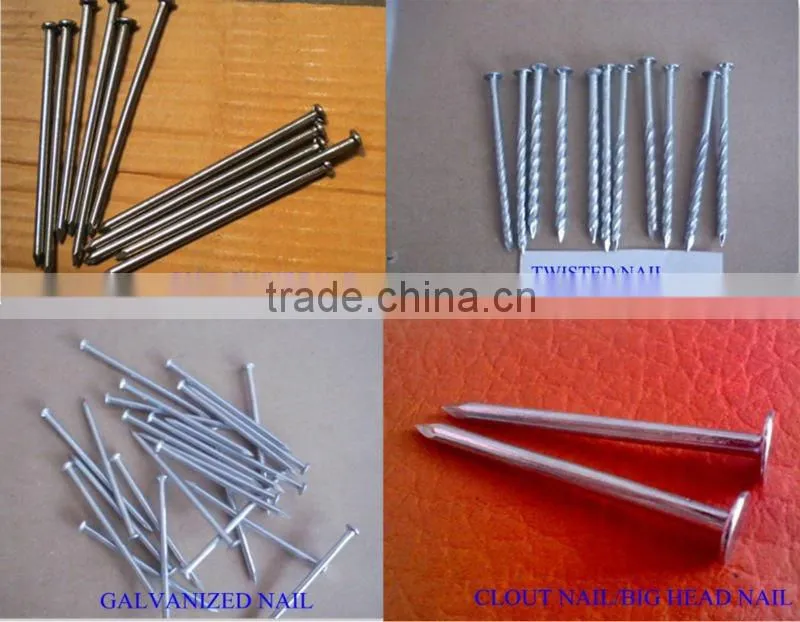 polished carbon steel common nails with smooth shank