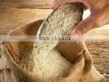 hot sale instant rice machine
