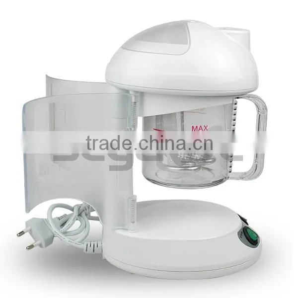 Professional portable hair steamer