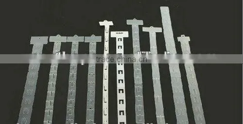 Multifunctional display clip strip