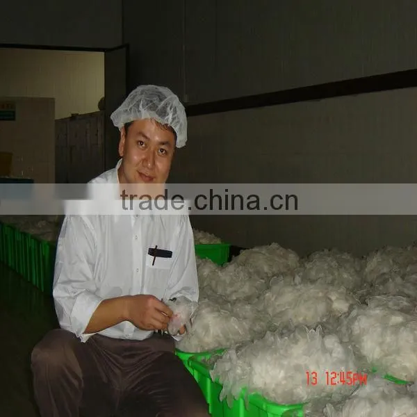 5.5G disposable, protective and safety, powder latex exam glove for food check and medical
