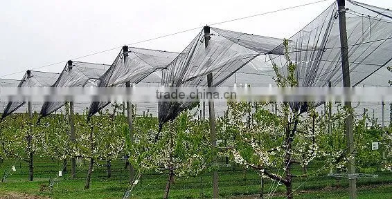 supply various apple tree anti hail net/hail protection net/anti brid net