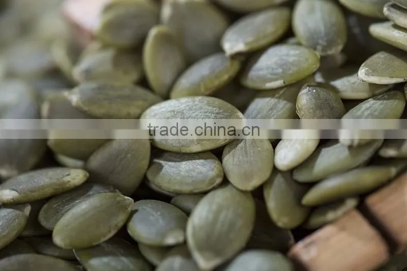 common cultivation pumpkin kernels/dried pumpkin seeds kernels