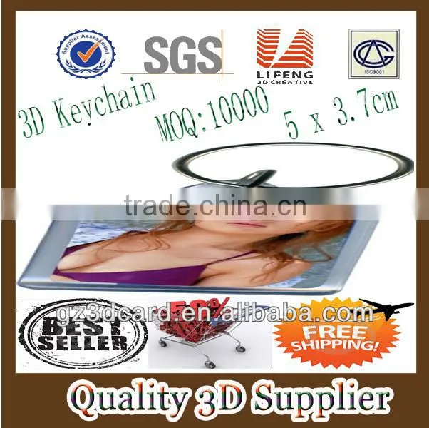 Guangzhou Lifeng PS lenticular 3d picture in large size for decoration
