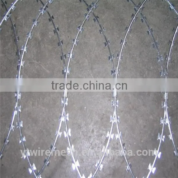 low price ss304 razor barbed wire