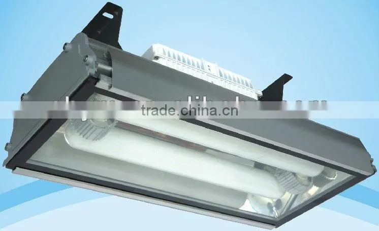 induction lamp hydroponics lighting with special spectrum with red & blue light