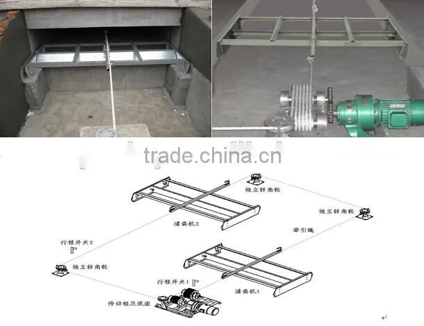 Professional high quality steel poultry shed/house for broiler