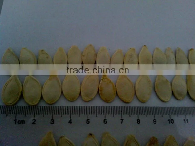GWS snow white pumpkin seeds shine skin pumpkin seeds Roasted Spiced Pumpkin Seed Recipe