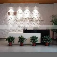 Shenzhen Lifong Technology Co., Ltd. company overview - view 3